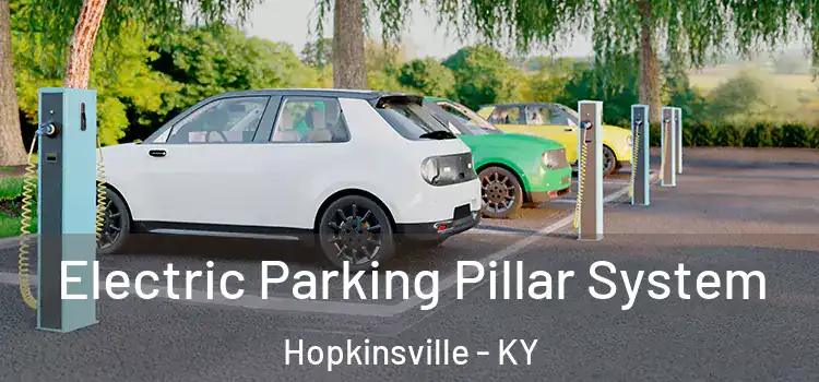 Electric Parking Pillar System Hopkinsville - KY
