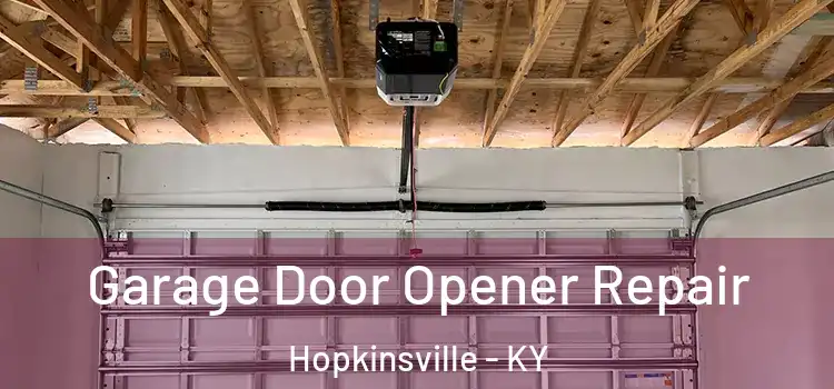  Garage Door Opener Repair Hopkinsville - KY