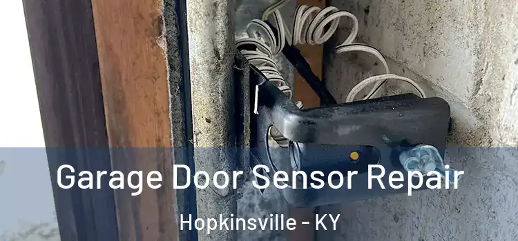  Garage Door Sensor Repair Hopkinsville - KY