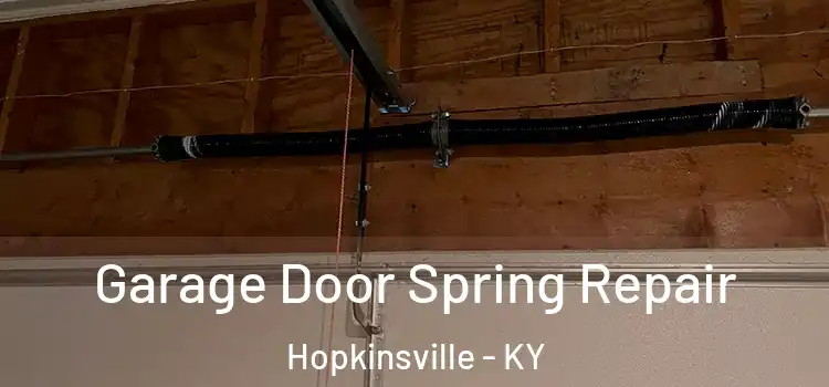  Garage Door Spring Repair Hopkinsville - KY