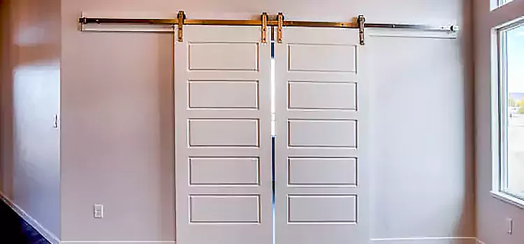 Glass Barn Door with Installation Hardware Kit Hopkinsville