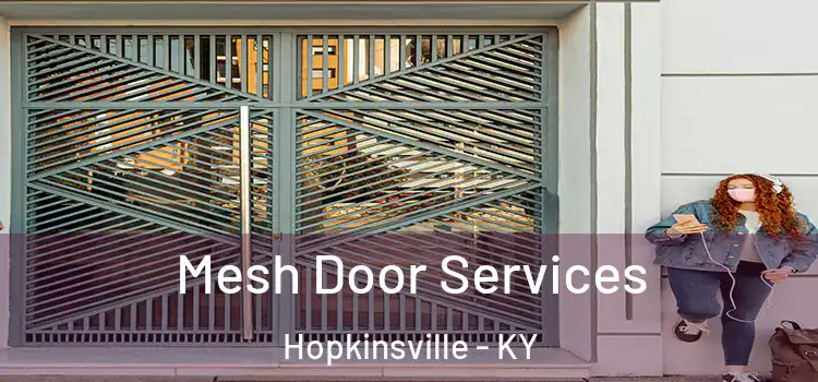 Mesh Door Services Hopkinsville - KY