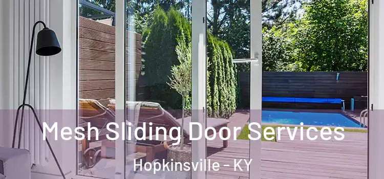 Mesh Sliding Door Services Hopkinsville - KY