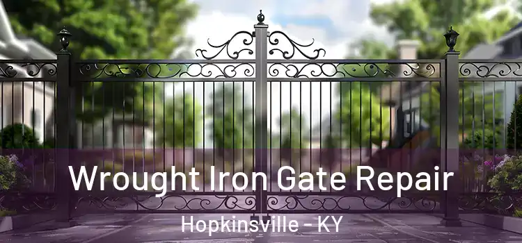  Wrought Iron Gate Repair Hopkinsville - KY